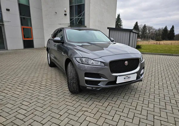 Jaguar F-Pace cena 63000 przebieg: 164000, rok produkcji 2017 z Sanok małe 781